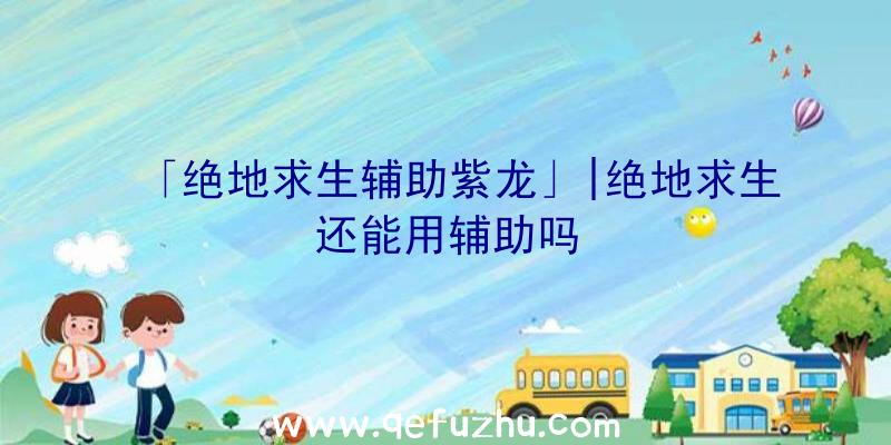 「绝地求生辅助紫龙」|绝地求生还能用辅助吗